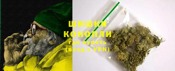 тгк Горнозаводск
