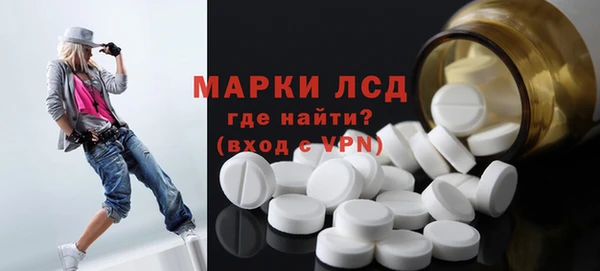 apvp Горняк
