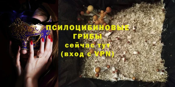 тгк Горнозаводск