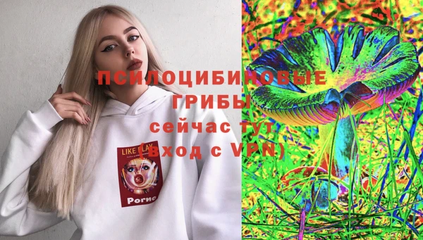 a pvp Горно-Алтайск