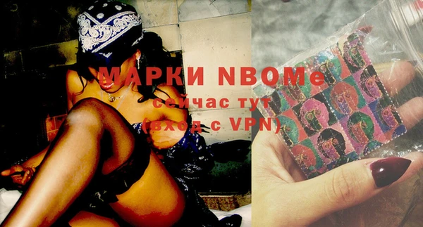 apvp Горняк