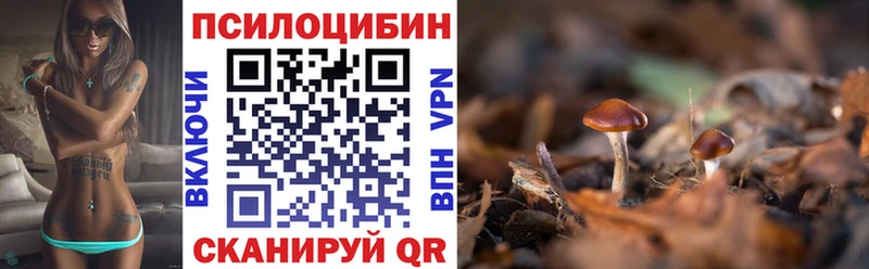 Галлюциногенные грибы мицелий  Игра 
